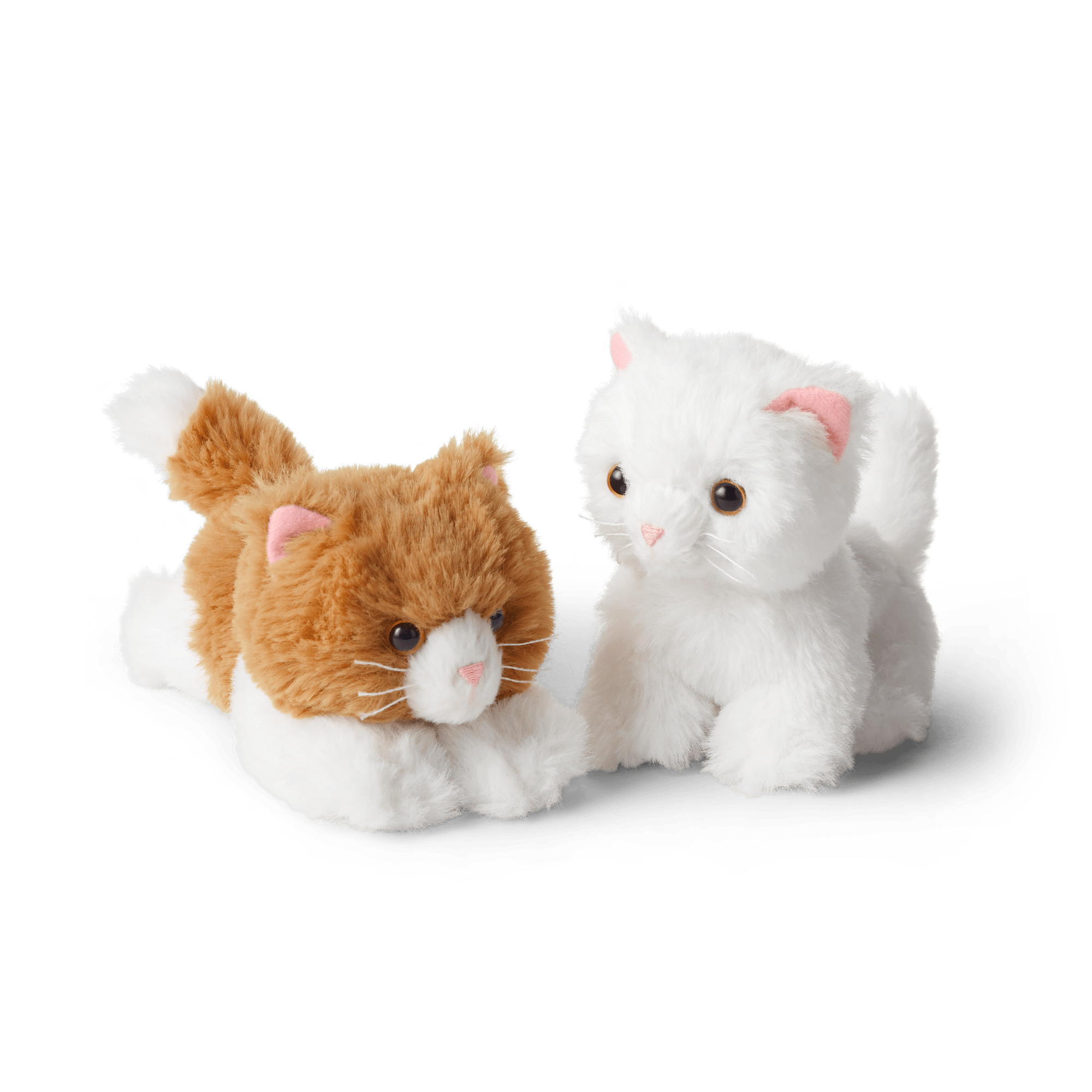 Rebecca's Kittens American Girl