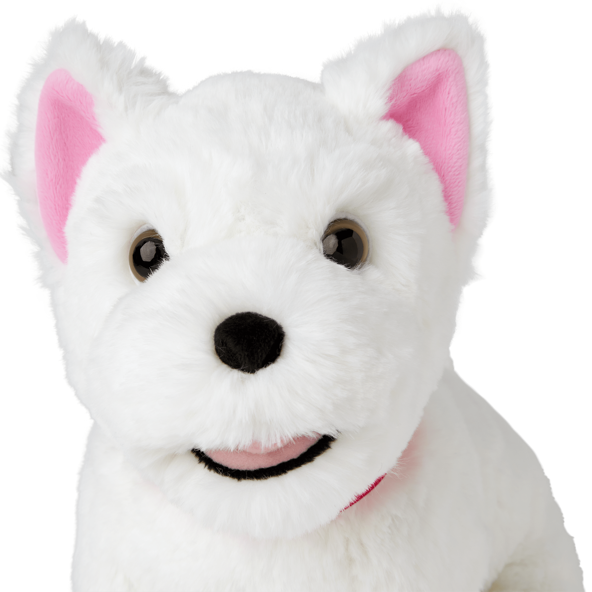 Coconut Chip Dog Bundle for Girl Doll American Girl