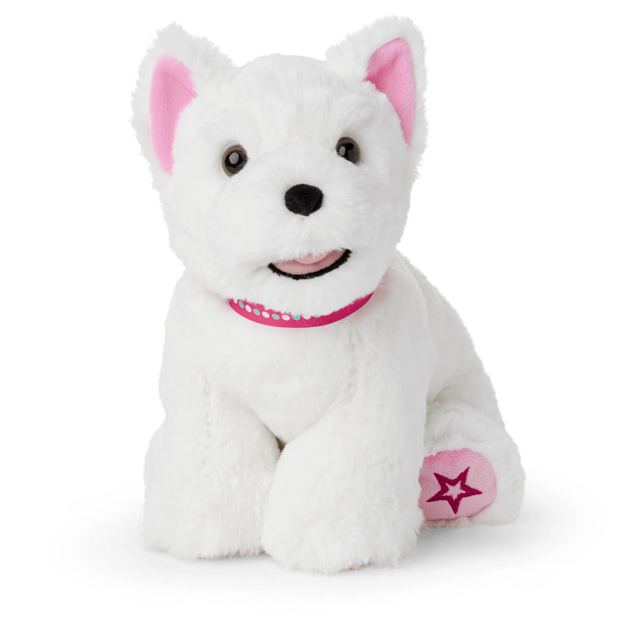 American doll dog shop