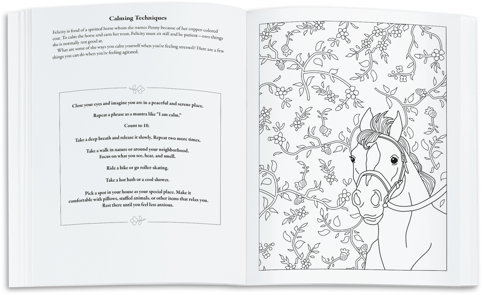 Coloring, Design, & Pattern Books Relaxing for Adults and Fun for Kids 2  Options to Choose From Nature and Animal Coloring Book 